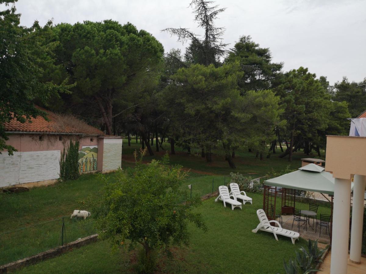 Apartment Sara Umag Bagian luar foto
